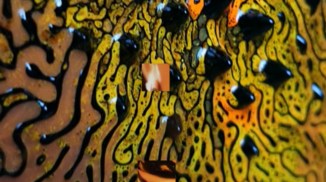 bunker ferrofluids - luc weytingh